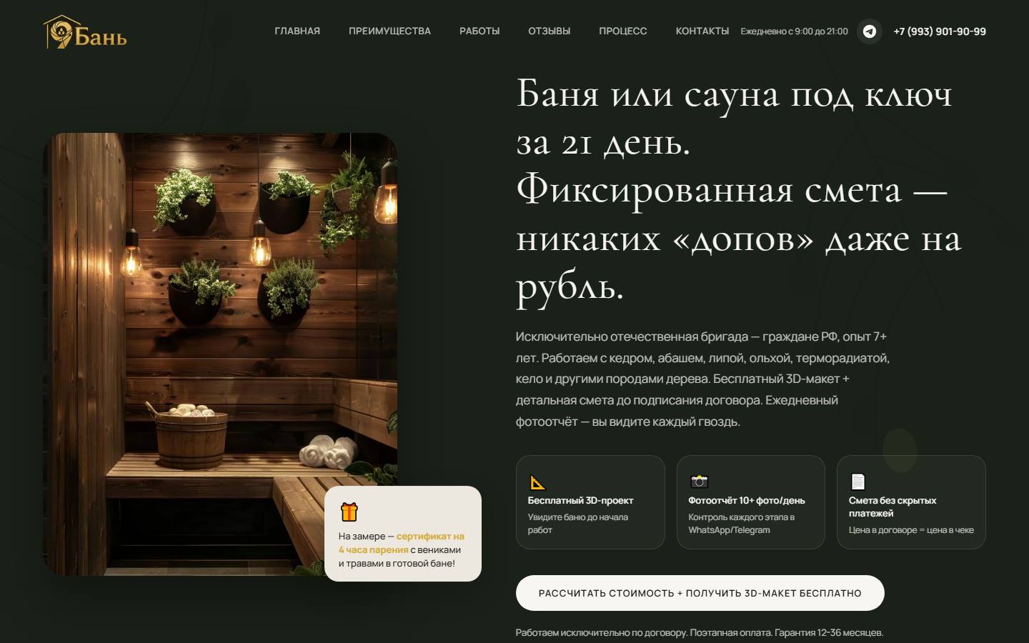 Первый экран 9bany.ru — Сайт с нуля